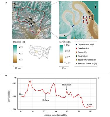 Modeling the Impact of Riparian Hollows on River Corridor Nitrogen Exports
